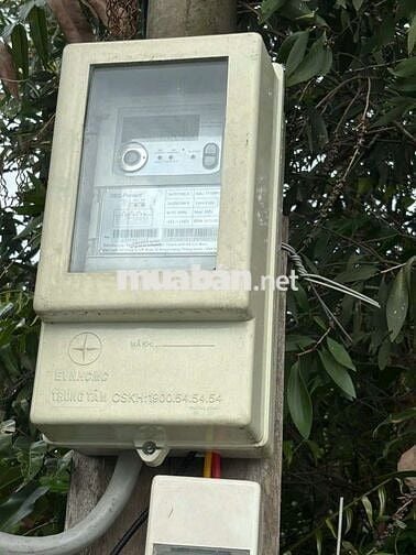 Nhà vườn 500m + nhà ở _ điện nước đầy đủ _ Đường vĩnh lộc b bình chánh