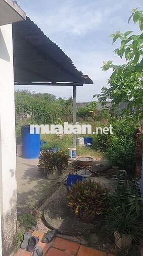 Nhà mặt tiền 400m2, 2 phòng ngủ, đ.Nguyễn Thị Nê, P.H.Đ, Củ Chi