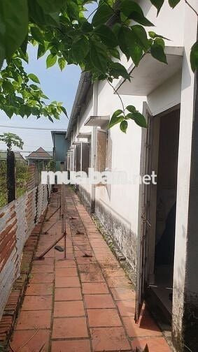 Nhà mặt tiền 400m2, 2 phòng ngủ, đ.Nguyễn Thị Nê, P.H.Đ, Củ Chi