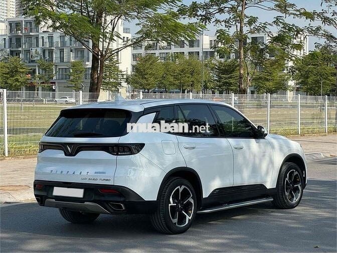 Lux SA Base 2020 đi cực ít đẹp xuất sắc