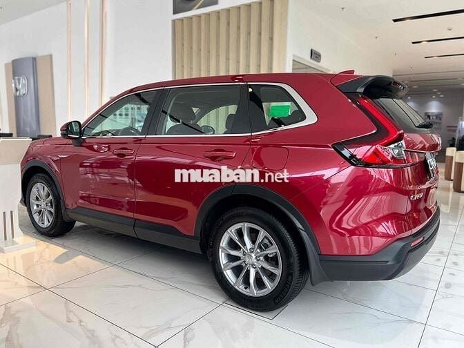 CRV L lăn bánh tỉnh 1.120 chưa Bh, ngân hàng bao