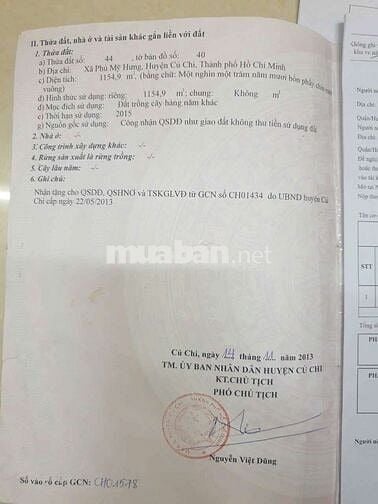 Bán đất mặt tiền Hố Bò. Dt 1154m2. Giá rât cần bán