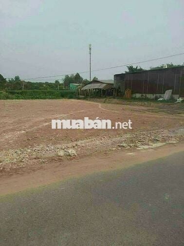 Bán đất mặt tiền Hố Bò. Dt 1154m2. Giá rât cần bán