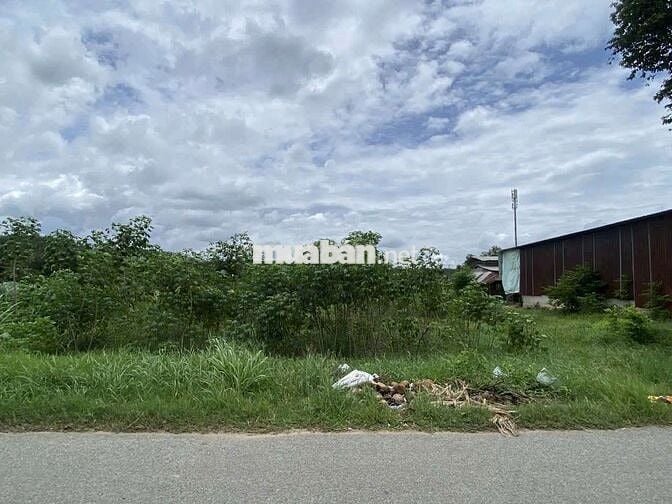 Bán đất mặt tiền Hố Bò. Dt 1154m2. Giá rât cần bán