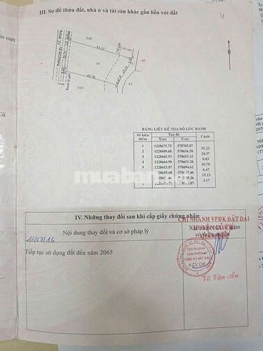 Bán đất mặt tiền Hố Bò. Dt 1154m2. Giá rât cần bán