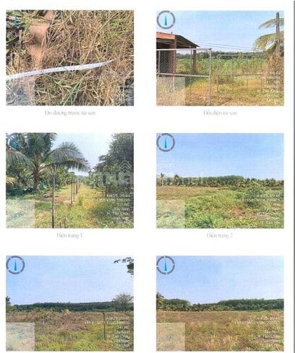 BÁN ĐẤT TẠI TÂN HỘI, TÂN CHÂU, TÂY NINH 