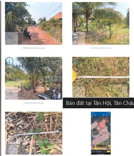 BÁN ĐẤT TẠI TÂN HỘI, TÂN CHÂU, TÂY NINH 