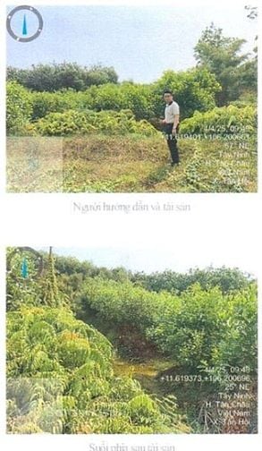 BÁN ĐẤT TẠI TÂN HỘI, TÂN CHÂU, TÂY NINH 