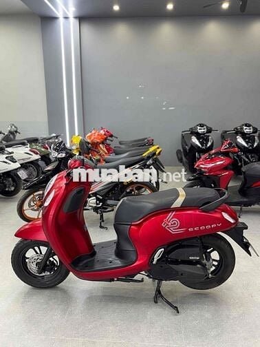 Scoopy nhập Thái 2022 nguyên rin Hỗ trợ góp