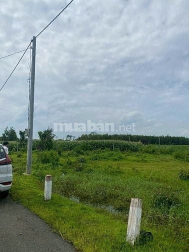 CÔNG TY ĐẤU GIÁ HỢP DANH MINH PHÁP THÔNG BÁO ĐẤU GIÁ TÀI SẢN Tổ chức h