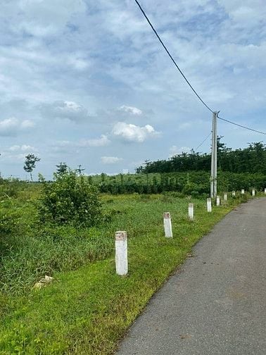 CÔNG TY ĐẤU GIÁ HỢP DANH MINH PHÁP THÔNG BÁO ĐẤU GIÁ TÀI SẢN Tổ chức h