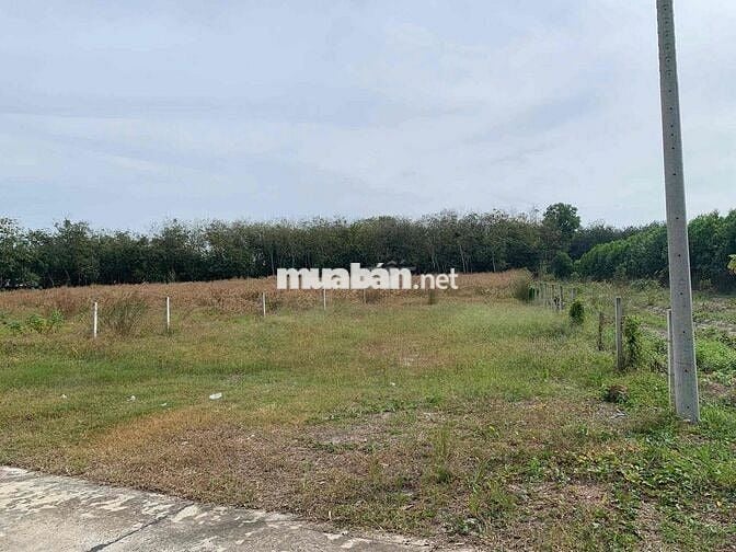 🌿 ĐẤT SÀO NGHỈ DƯỠNG CHƠN THÀNH – VIEW ĐẸP, GIÁ CHỈ 950 TRIỆU/SÀO! 🌿 🍃