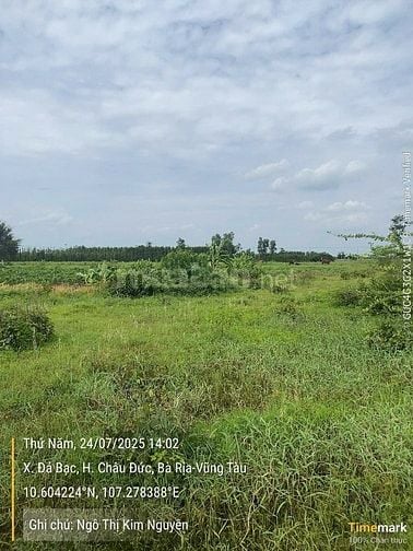 CÔNG TY ĐẤU GIÁ HỢP DANH MINH PHÁP THÔNG BÁO ĐẤU GIÁ TÀI SẢN Tổ chức h