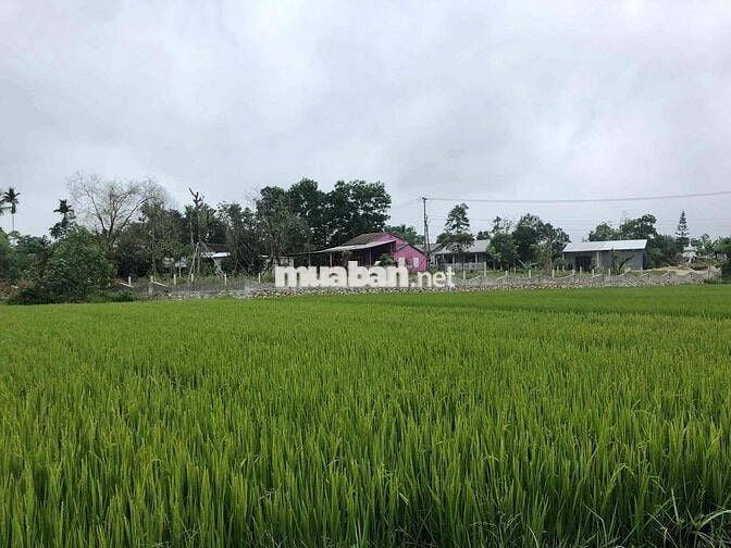 Đất 500m2 view đẹp, đường Minh Mạng, Tp Huế