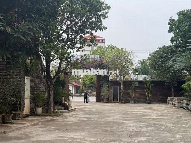 Bán Đất 2478/5000m2 tại Nguyễn Tất Thành, Khai Quang