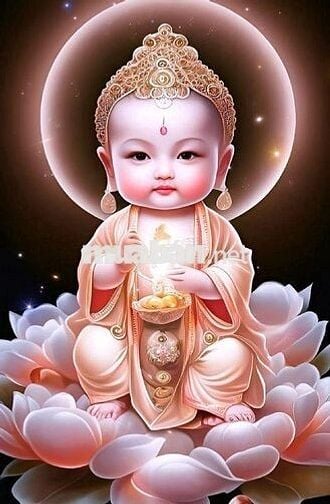 Cần cho thuê nhà nguyên căn ngay khu Hoàng Trọng Mậu