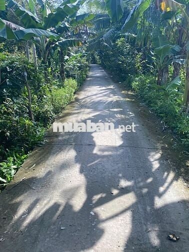 CHÍNH CHỦ – 700 TRIỆU (CÓ THƯƠNG LƯỢNG)