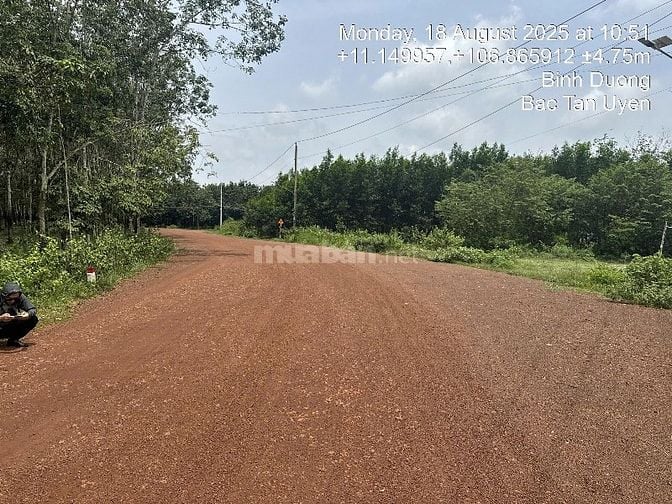 CÔNG TY ĐẤU GIÁ HỢP DANH MINH PHÁP THÔNG BÁO ĐẤU GIÁ TÀI SẢN