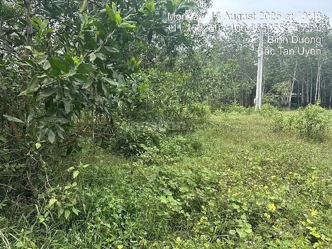 CÔNG TY ĐẤU GIÁ HỢP DANH MINH PHÁP THÔNG BÁO ĐẤU GIÁ TÀI SẢN