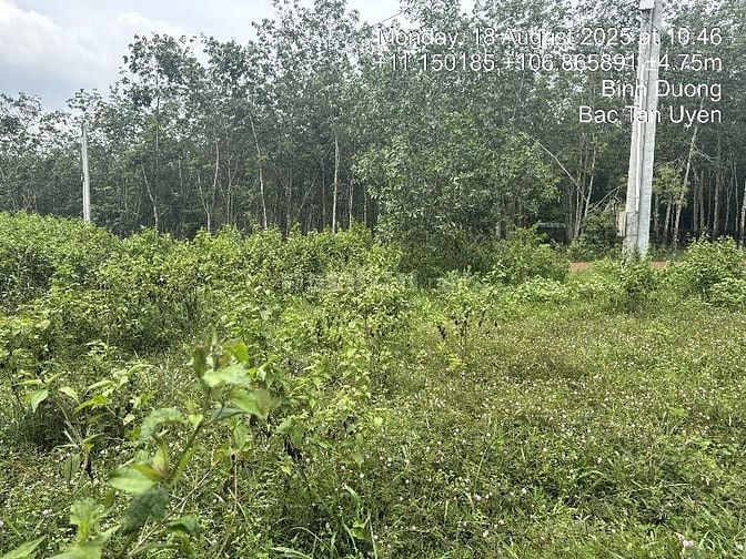 CÔNG TY ĐẤU GIÁ HỢP DANH MINH PHÁP THÔNG BÁO ĐẤU GIÁ TÀI SẢN