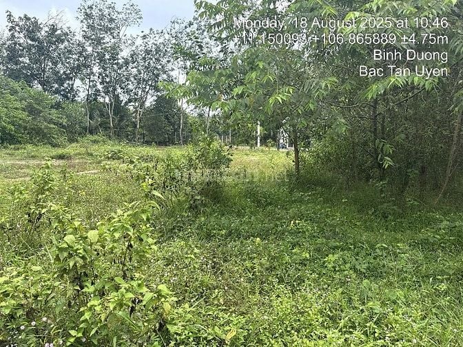 CÔNG TY ĐẤU GIÁ HỢP DANH MINH PHÁP THÔNG BÁO ĐẤU GIÁ TÀI SẢN