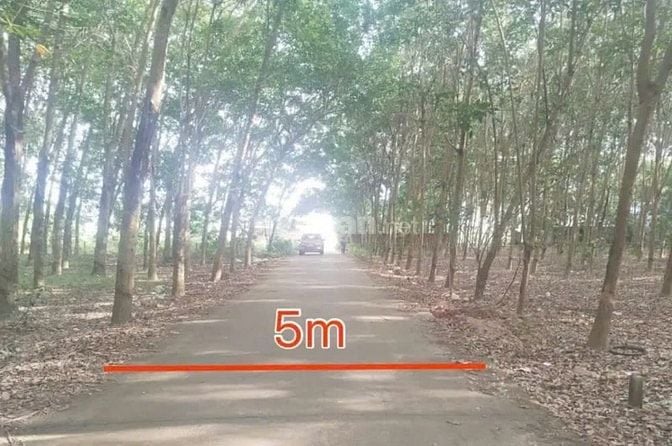 Công ty Đấu giá hợp danh Lam Sơn Sài Gòn THÔNG BÁO ĐẤU GIÁ TÀI SẢN