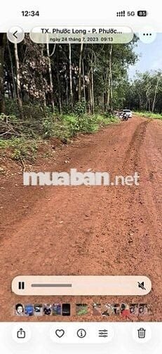 Cần bán 5,6 hecta, 100m mặt tiền. thích hợp làm nhà máy, kho xưởng