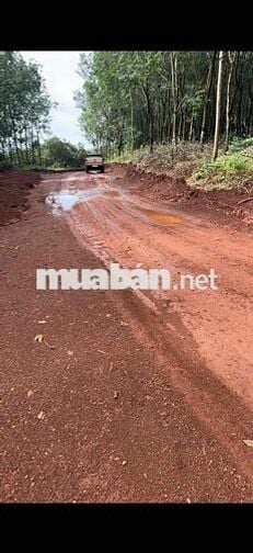 Cần bán 5,6 hecta, 100m mặt tiền. thích hợp làm nhà máy, kho xưởng