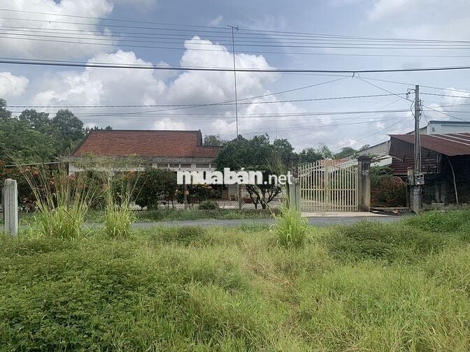 CẦN BÁN ĐẤT THỔ CƯ 133M2 NGAY KDC (HÀNG HIẾM)