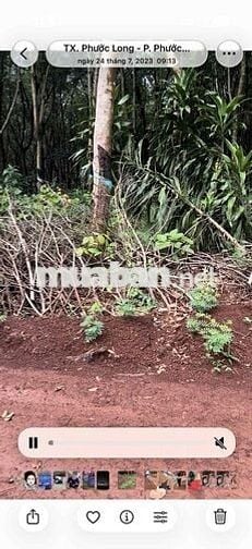 Cần bán 5,6 hecta, 100m mặt tiền. thích hợp làm nhà máy, kho xưởng