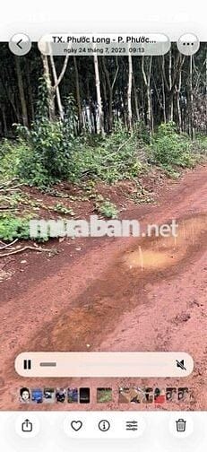 Cần bán 5,6 hecta, 100m mặt tiền. thích hợp làm nhà máy, kho xưởng