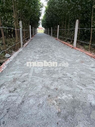 Chính chủ cần bán lô đất 7.000m , cách quốc lộ 1A 1,5km ,