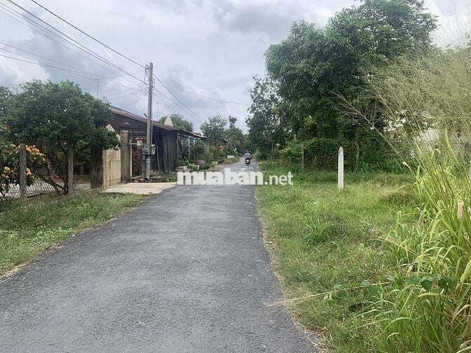 CẦN BÁN ĐẤT THỔ CƯ 133M2 NGAY KDC (HÀNG HIẾM)