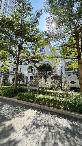 Siêu Biệt Thự 270M2 x 15M Mặt Tiền Phố Hàm Nghi + Nguyễn Hoàng - GẤP.