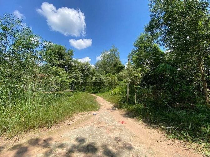 Công ty Đấu giá hợp danh Lam Sơn Sài Gòn THÔNG BÁO ĐẤU GIÁ TÀI SẢN