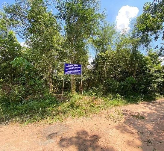 Công ty Đấu giá hợp danh Lam Sơn Sài Gòn THÔNG BÁO ĐẤU GIÁ TÀI SẢN