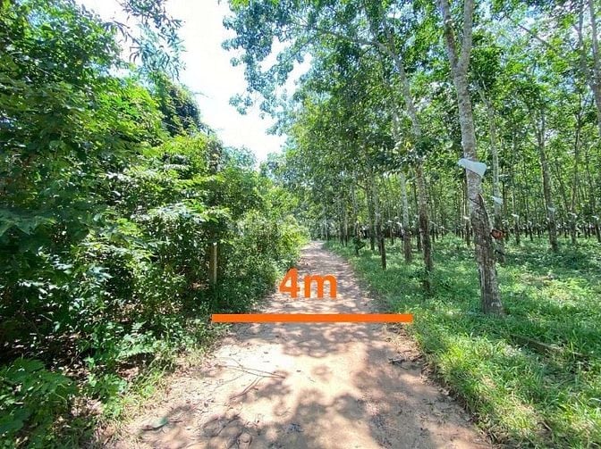 Công ty Đấu giá hợp danh Lam Sơn Sài Gòn THÔNG BÁO ĐẤU GIÁ TÀI SẢN