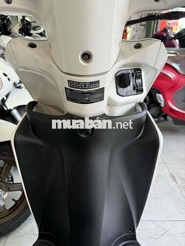 VISION 2019 - Xe Zin - BẢN ĐẶC BIỆT Khoá Smakey