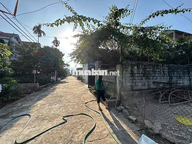 🔥 BÁN GẤP 80m² ĐẤT TÁI ĐỊNH CƯ – VĂN MỸ 📐 MT bằng hậu 4m – Đất vuông v