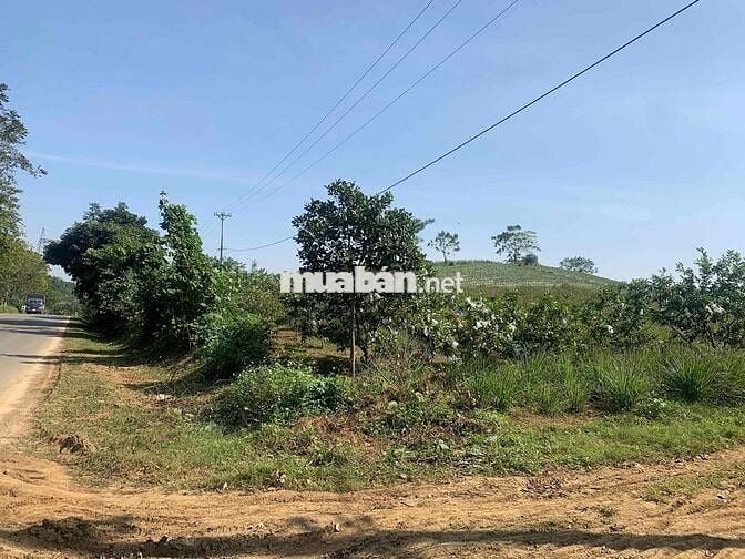 đất mặt tiền quốc lộ 25 cách Hà Nội 2 tiếng