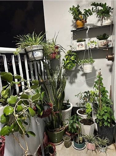 Bán Căn hộ Chung cư Thới Bình, Quận 11