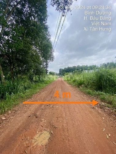 Công ty Đấu giá hợp danh Lam Sơn Sài Gòn THÔNG BÁO ĐẤU GIÁ TÀI SẢN