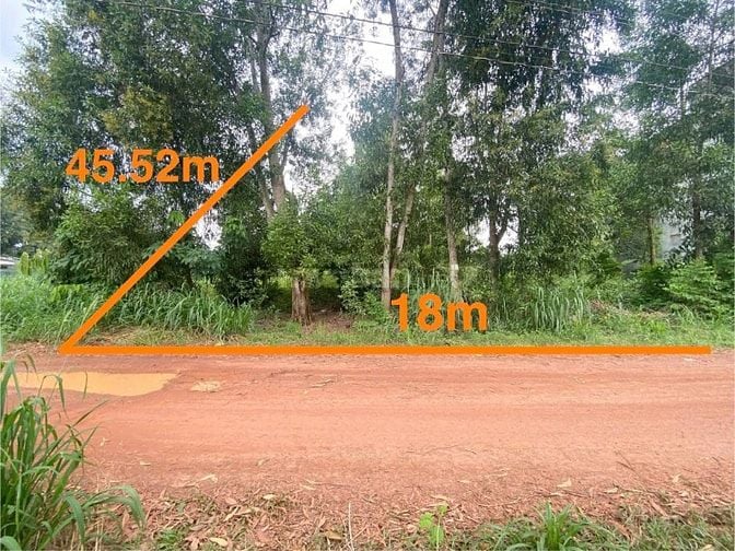 Công ty Đấu giá hợp danh Lam Sơn Sài Gòn THÔNG BÁO ĐẤU GIÁ TÀI SẢN