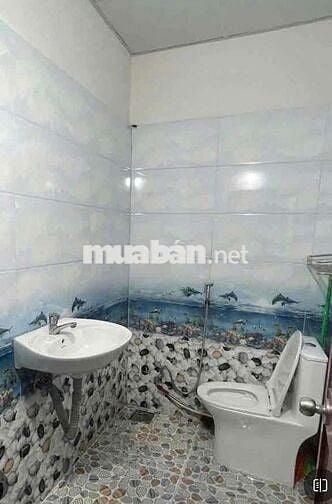 🔥1/ PHAN THỊ HÀNH - NHÀ 2 TẤM HẺM 4M - GẦN VƯỜN LÀI, LÊ THÚC HOẠCH