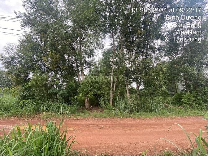 Công ty Đấu giá hợp danh Lam Sơn Sài Gòn THÔNG BÁO ĐẤU GIÁ TÀI SẢN