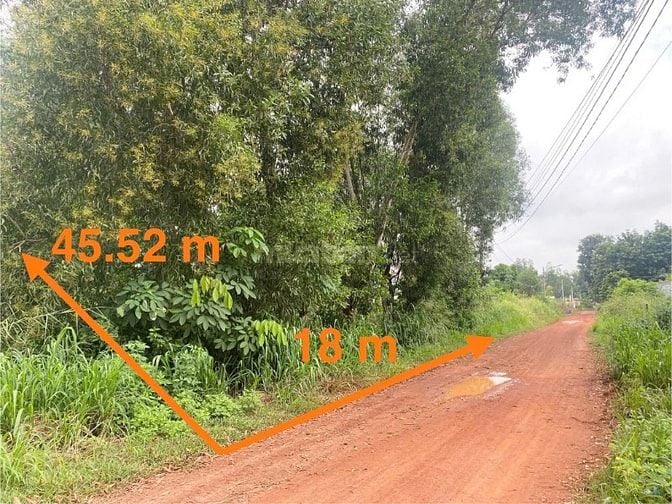 Công ty Đấu giá hợp danh Lam Sơn Sài Gòn THÔNG BÁO ĐẤU GIÁ TÀI SẢN