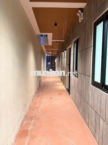 Cho Thuê Căn Hộ Mới Xây Đường Đồng Khởi Phường Tân Lợi