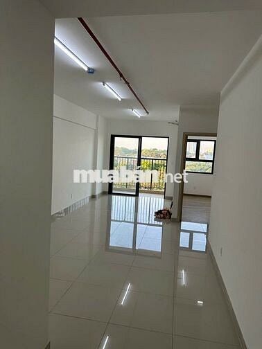 Gấp gấp, làm ăn thua lỗ chủ nhà cần bán căn 2pn,2wc tại Tòa C EcoXuân