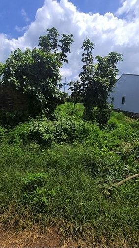 Công ty đấu giá hợp danh Sao Việt 