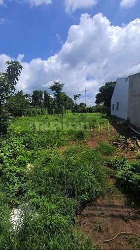 Công ty đấu giá hợp danh Sao Việt 